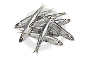 Fresh raw European anchovy photo