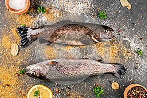 Fresh raw fish brown trout