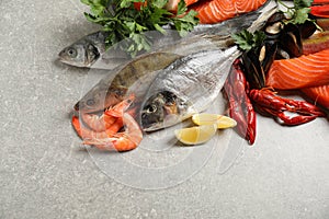 Fresh raw fish and different seafood on grey table. Space for text