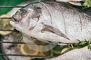 Fresh and raw fish with lemon and parsley on the grid Barbeque in the garden in summer ready and wait for the rost