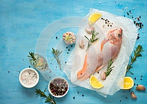 Fresh raw fish tilapia.