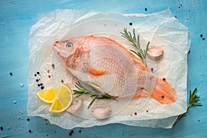 Fresh raw fish tilapia.