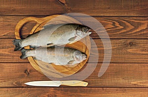 Fresh raw fish trout is two pieces on the board