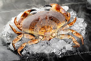 Fresh raw Florida stone crab