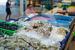 Fresh raw flower crab at Thai seafood market