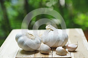 Fresh raw garlic on wooden table in garden, copy space, outdoor kitchen raw ingredient concept