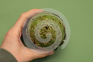 Fresh raw green artichoke holds in hand on white background. Mockup.