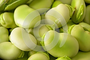 Fresh and raw green broad beans