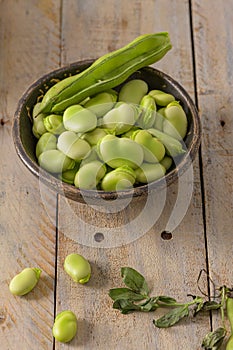 Fresh and raw green broad beans