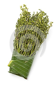 Fresh raw green bunch of Sadao flowers close up on white background