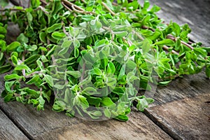 Fresh raw green herb marjoram on a wooden table