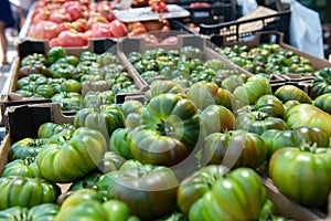 Fresh raw green and pink tomatoes sold on outdoor market. Farm seasonal fruits and vegetables