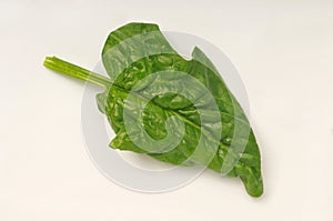 Fresh, raw, healthy, organic spinach leaf