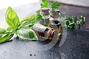 Fresh raw herbs from the garden and the different fresh oils for massage and aromatherapy on tableble