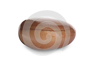 Fresh raw jackfruit seed isolated on white