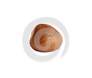 Fresh raw jackfruit seed isolated on white