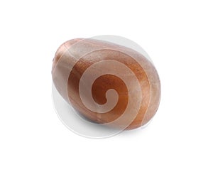 Fresh raw jackfruit seed isolated on white