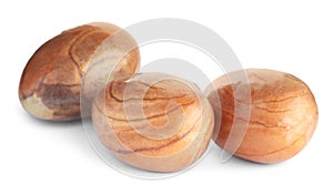 Fresh raw jackfruit seeds on white background