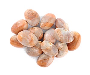 Fresh raw jackfruit seeds on white background, top view