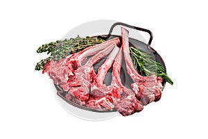 Fresh Raw Lamb chop steak in steel tray with herbs. Isolated on white background. Top view.