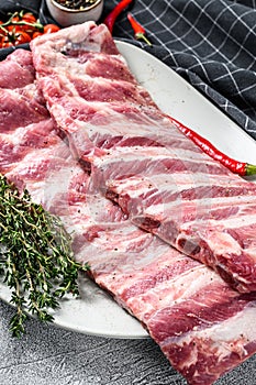 Fresh raw lamb spare ribs with spices and herbs. Gray background. Top view