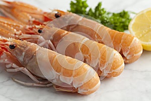 Fresh raw langoustines