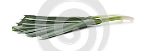 Fresh raw leek isolated on white. Ripe onion