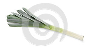 Fresh raw leek isolated on white. Ripe onion