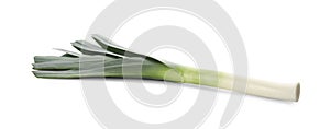 Fresh raw leek isolated on white. Ripe onion