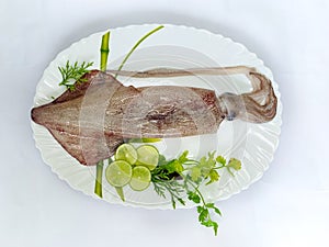 Fresh raw Loligo SquidLoligo Duvauceli Decorated with lemon slice and curry leaves.White Background.