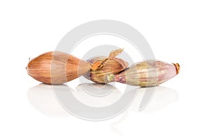 Fresh raw long shallot onion isolated on white