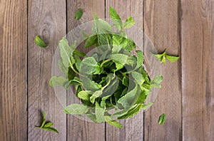 Fresh raw mint bunch in metal bucket on wooden background.