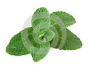 Fresh raw mint leaves isolated on white