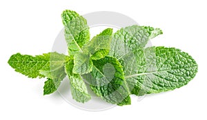 Fresh raw mint leaves isolated on white