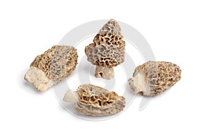 Fresh raw Morels mushrooms