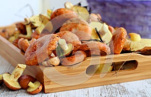 Fresh raw mushrooms . Autumn mushrooms on a wooden rustic table. Forest mushrooms on a wooden tray