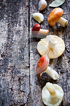 Fresh raw mushrooms and garlic on wooden background