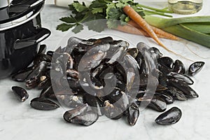 Fresh raw mussels