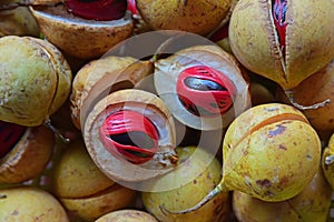 Fresh raw nutmeg
