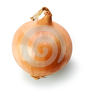 Fresh raw onion