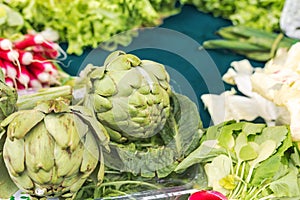 Fresh raw organic bio uncooked vegetables for sale at farmers market. Artichoke, lettuce, radish at market, stock photo. Vegan