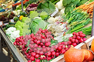 Fresh raw organic bio uncooked vegetables for sale at farmers market. Radish, chives, cabbage at market, stock photo. Vegan food