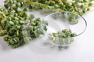 Fresh raw organic brussels sprouts stalks on white background