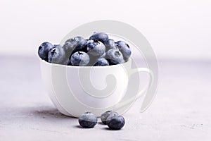 Fresh Raw Organic Farm Blueberry in Cup on white kitchen Background Copy Space