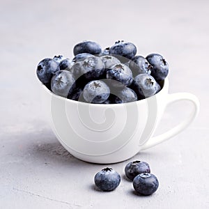 Fresh Raw Organic Farm Blueberry in Cup on white kitchen Background Square