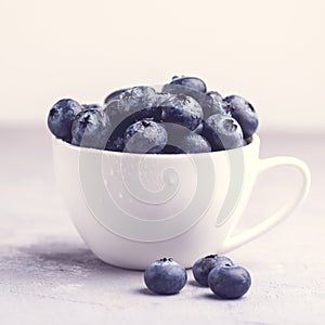 Fresh Raw Organic Farm Blueberry in Cup on white kitchen Background Square Toned