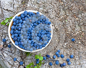 The Fresh raw organic farm blueberry in white cup on the wooden background