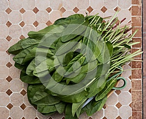Ciuffo da verde succo riposa sul tavolo forbici,. primavera verde verdure succo spinaci 