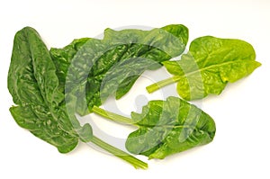 Fresh raw organic spinach leaves