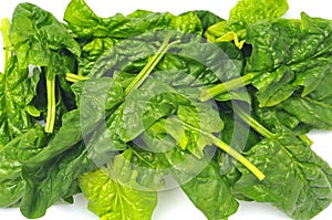 Fresh raw organic spinach leaves